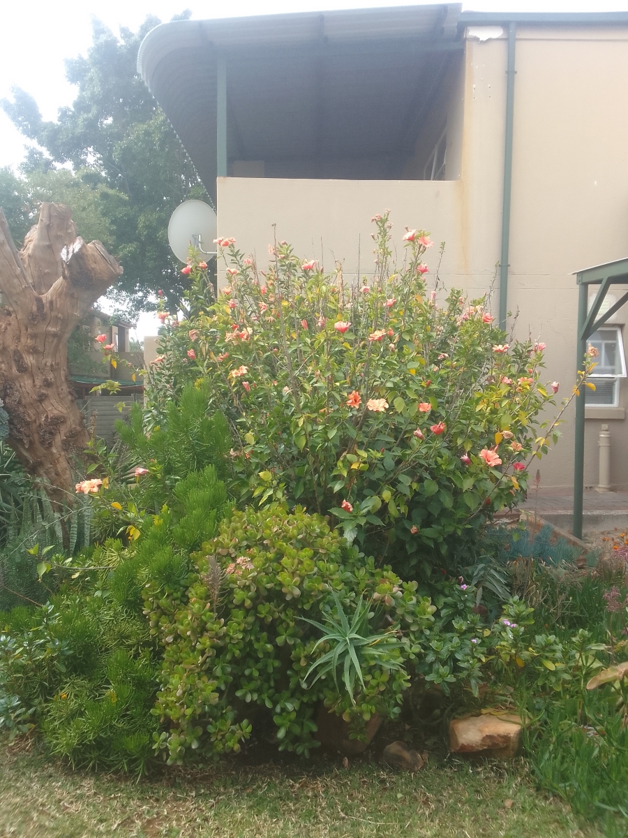 3 Bedroom Property for Sale in Safari Gardens North West